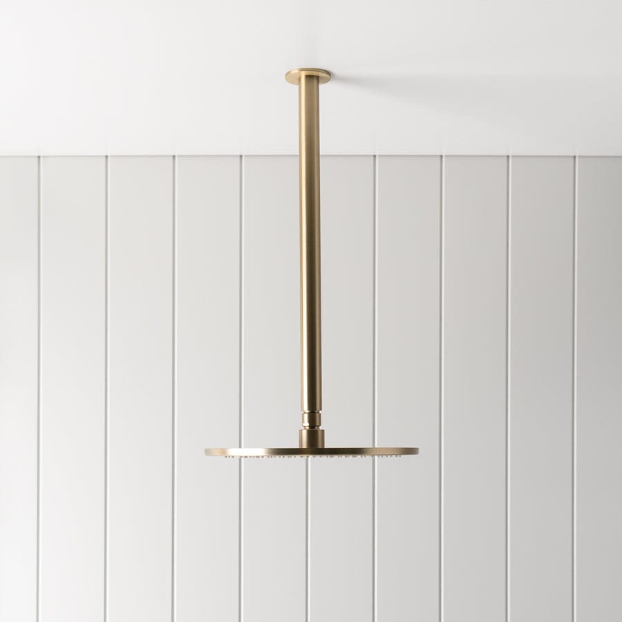 TileCloud TAPWARE Ceiling Shower Arm and Head Brushed Brass