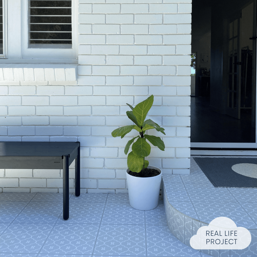 TileCloud TILE Mollymook Grey Encaustic Look Tile