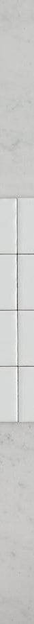 TileCloud TILE Newport Gloss Mini Subway White Tile