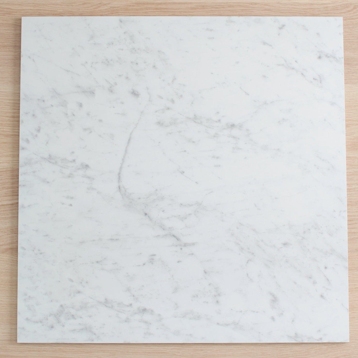 TileCloud TILE Rose Bay Carrara Look Matte Tile