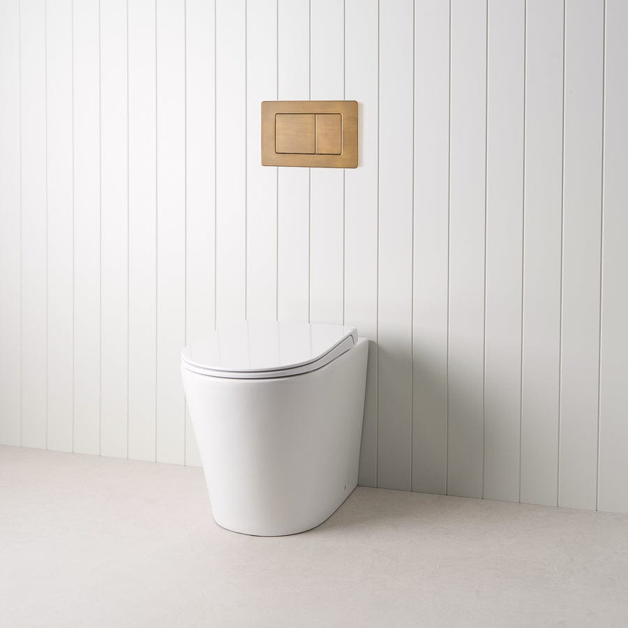 TileCloud TOILETS Angled In-Wall Toilet With Rectangle Antique Brass Buttons