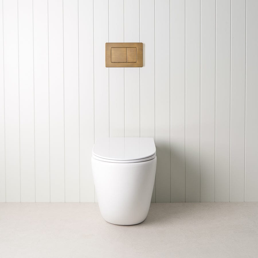 TileCloud TOILETS Curved In-Wall Toilet With Rectangle Antique Brass Buttons