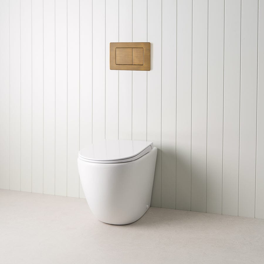 TileCloud TOILETS Curved In-Wall Toilet With Rectangle Antique Brass Buttons